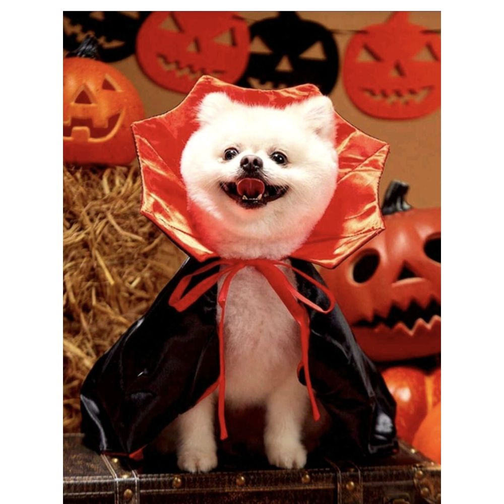 Red And Black Vampire Cape For Pet Costume