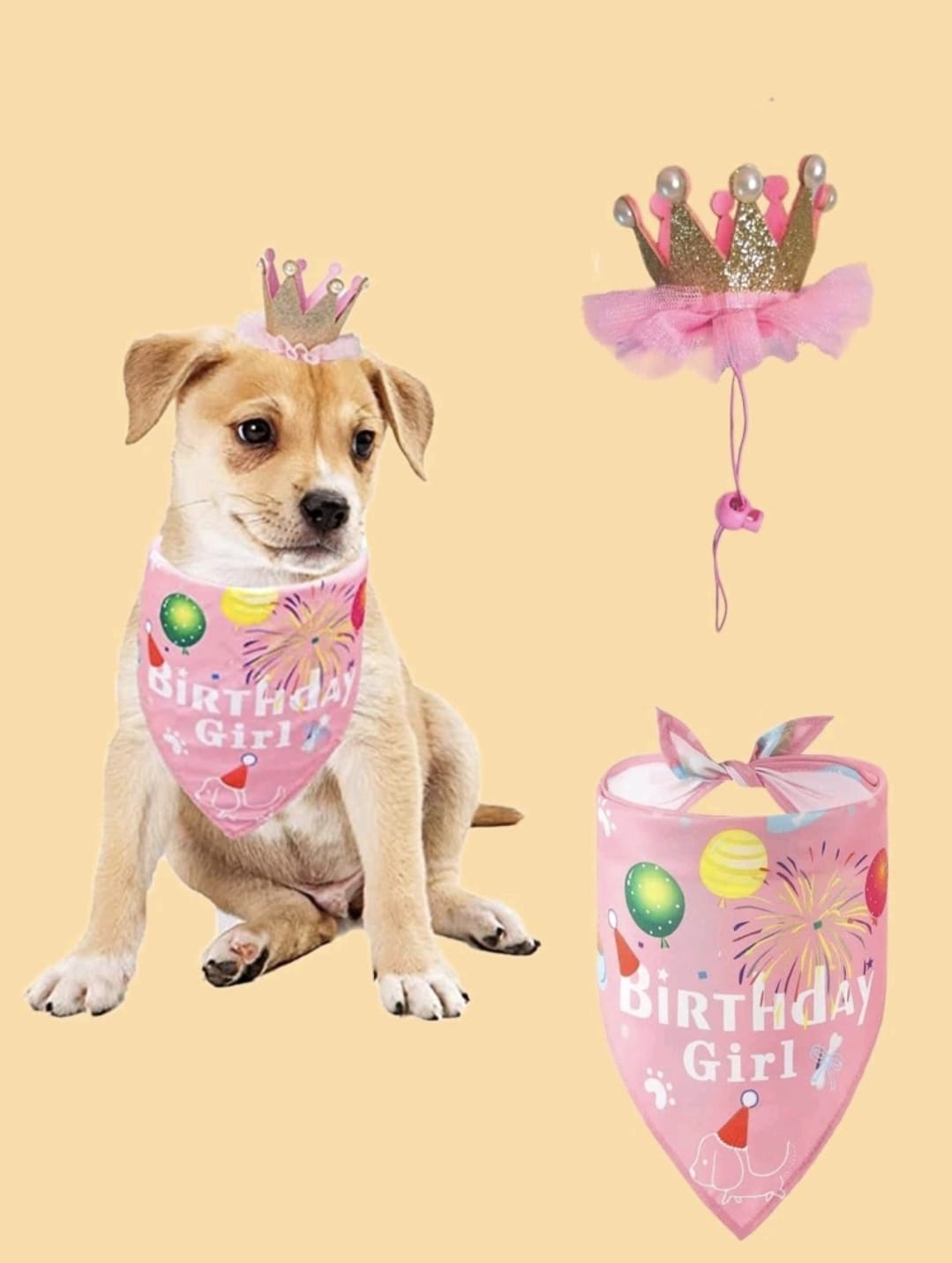 Pet Dog Or Cat Party Hat And Bandana