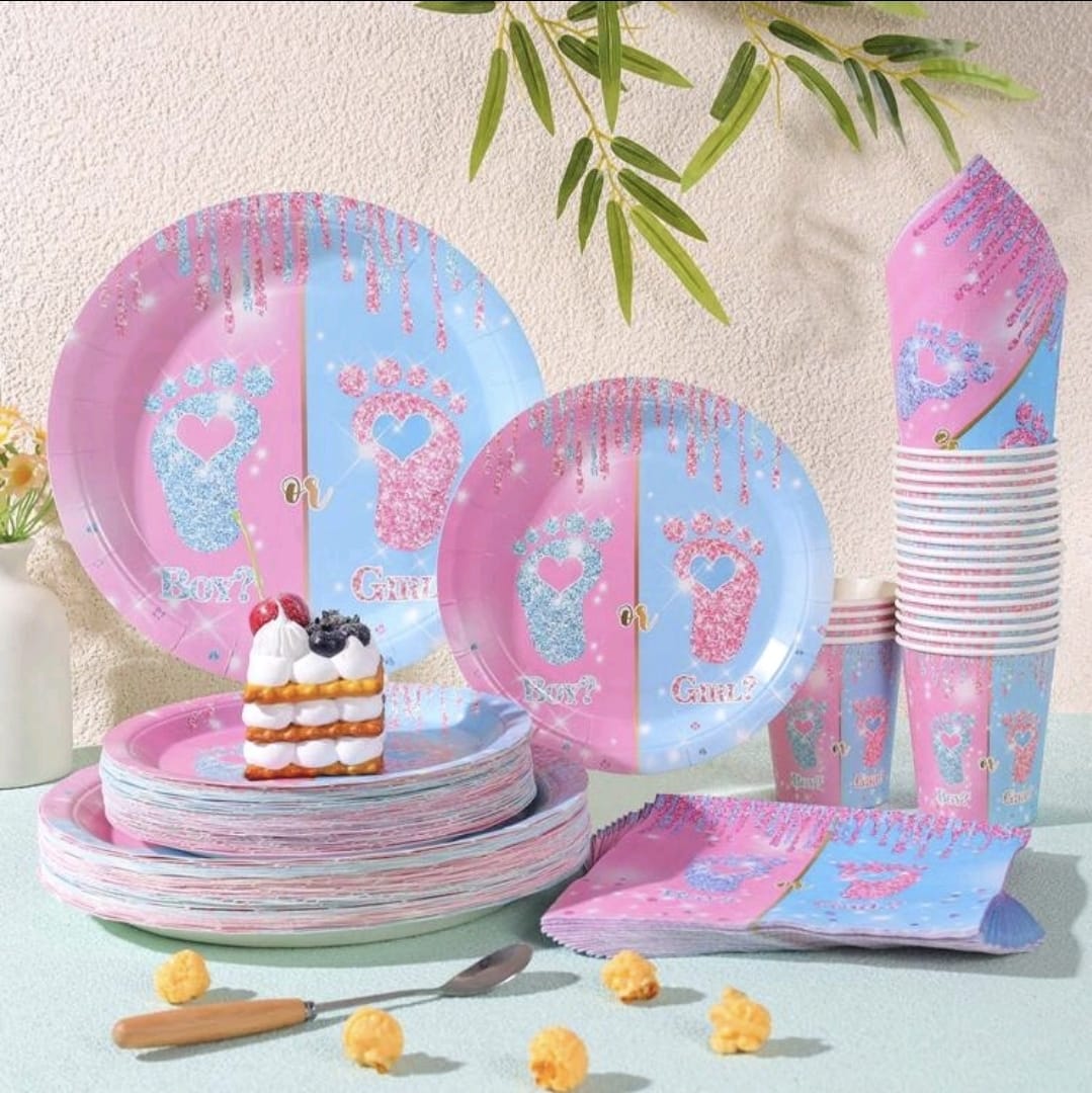 Gender reveal boy or girl plate cup tableware set serves 24