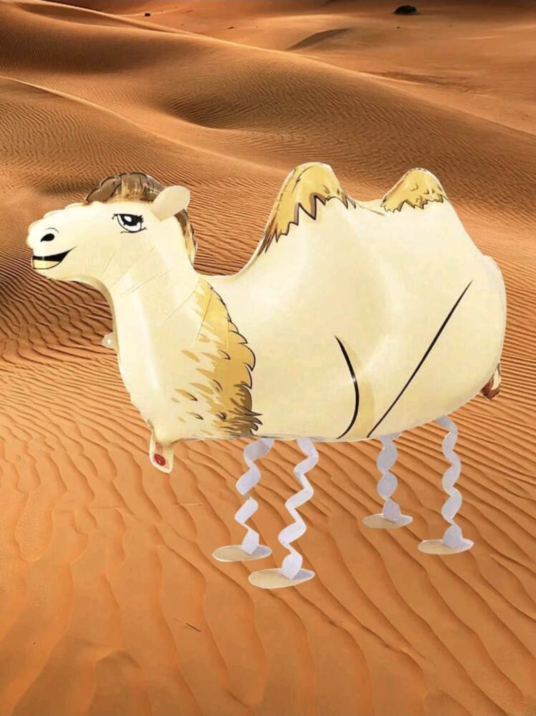 Camel helium walk along