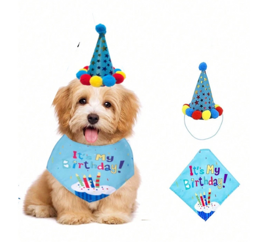 Pet cat or dog party cap and bow - blue
