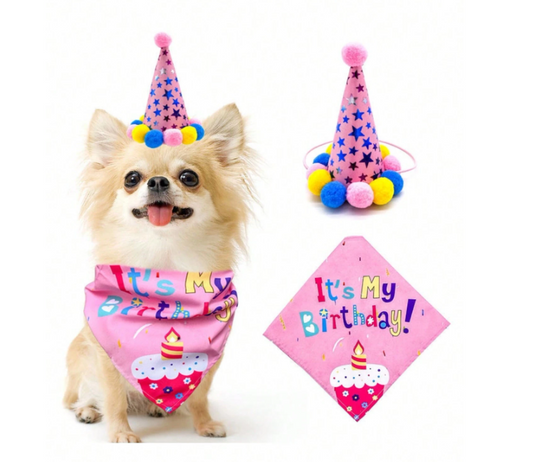 Pet cat or dog party cap and bow - pink