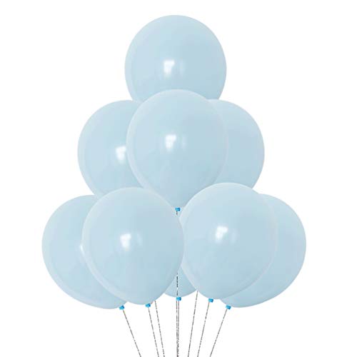 Pastel Macron latex balloon   - blue