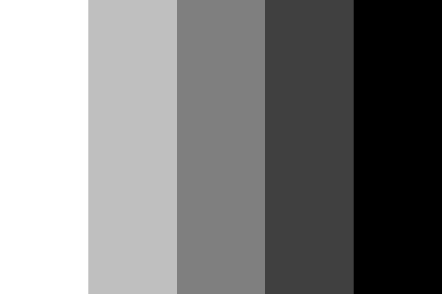 Bold in Black