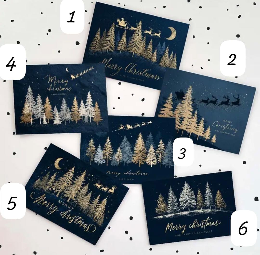 Seasonal Greeting Card 1 Pc