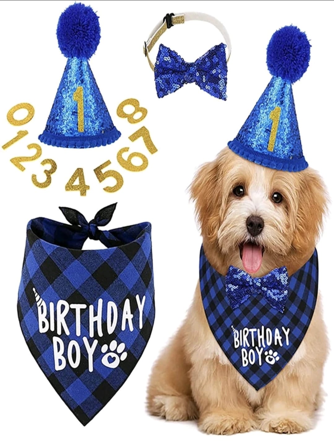 Blue pet dog or cat birthday props