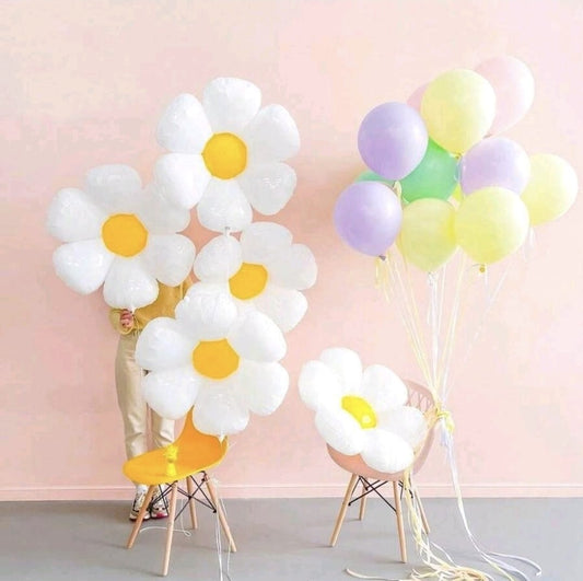 12pcs daisy balloon - non inflated