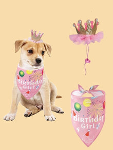Pet Dog Or  Cat Party Hat And Bandana