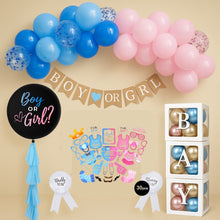 Gender Reveal Diy Kit