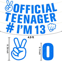 Official teenager 13th birthday banner 1pc