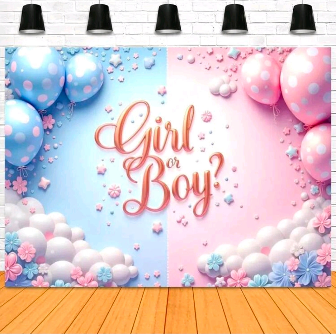 Girl or boy balloon poster 240x180cm