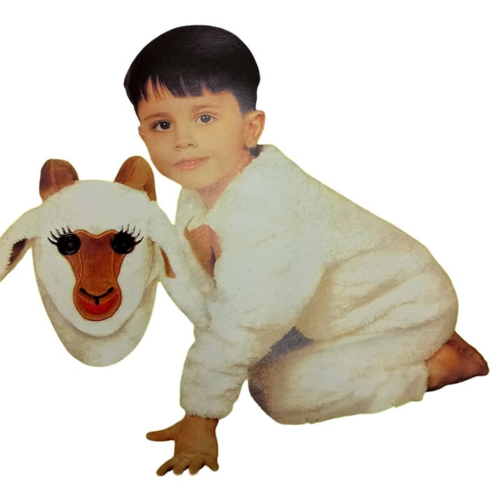 Sheep costume for 2 to 3 year old