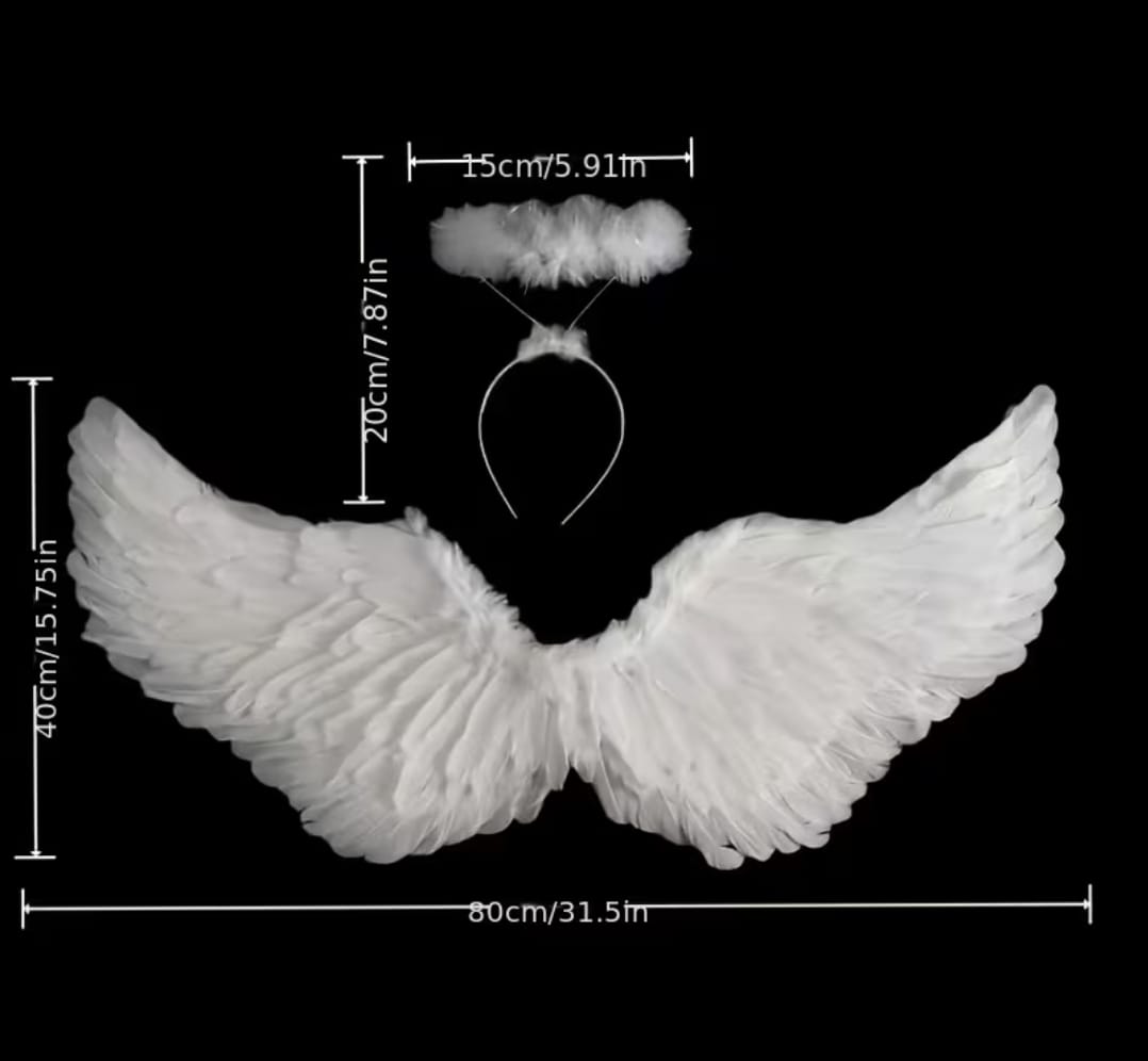 2pcs Angel Wings Costume Accessory, Stage Performance Prop