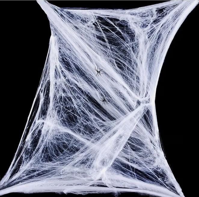 Realistic Stretchable Spider Web with 2pcs Mini Spiders
