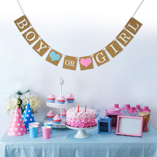 Gender Reveal banner boy or girl