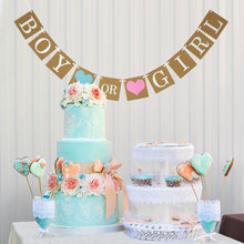 Gender Reveal banner boy or girl